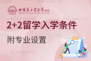 II(y)W()2+2WWlʲô I(y)O